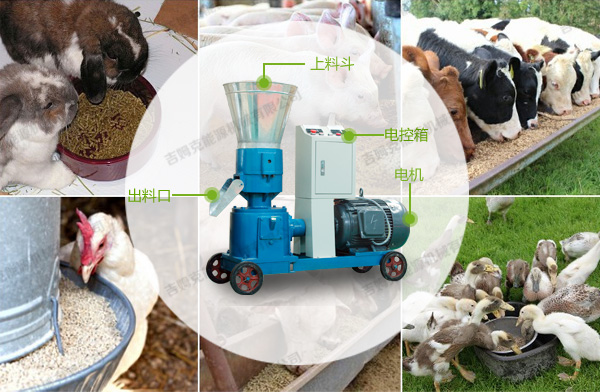 家用飼料顆粒機(jī) 家用飼料顆粒機(jī)